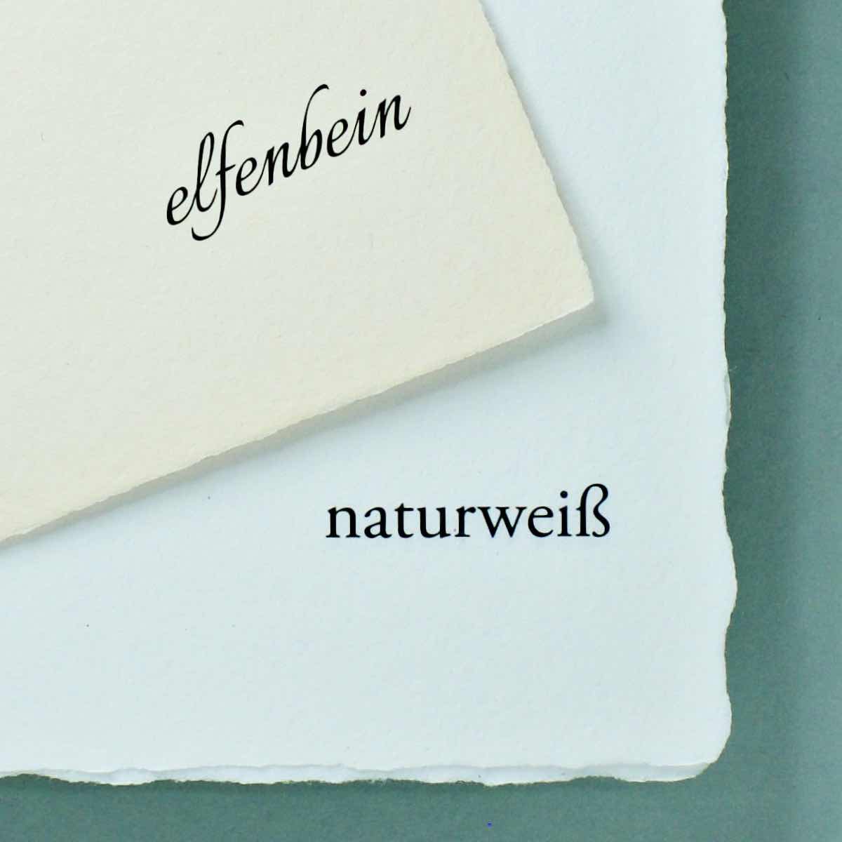 Detail handgeschöpftes Büttenpapier Farbvergleich elfenbein auf naturweiß