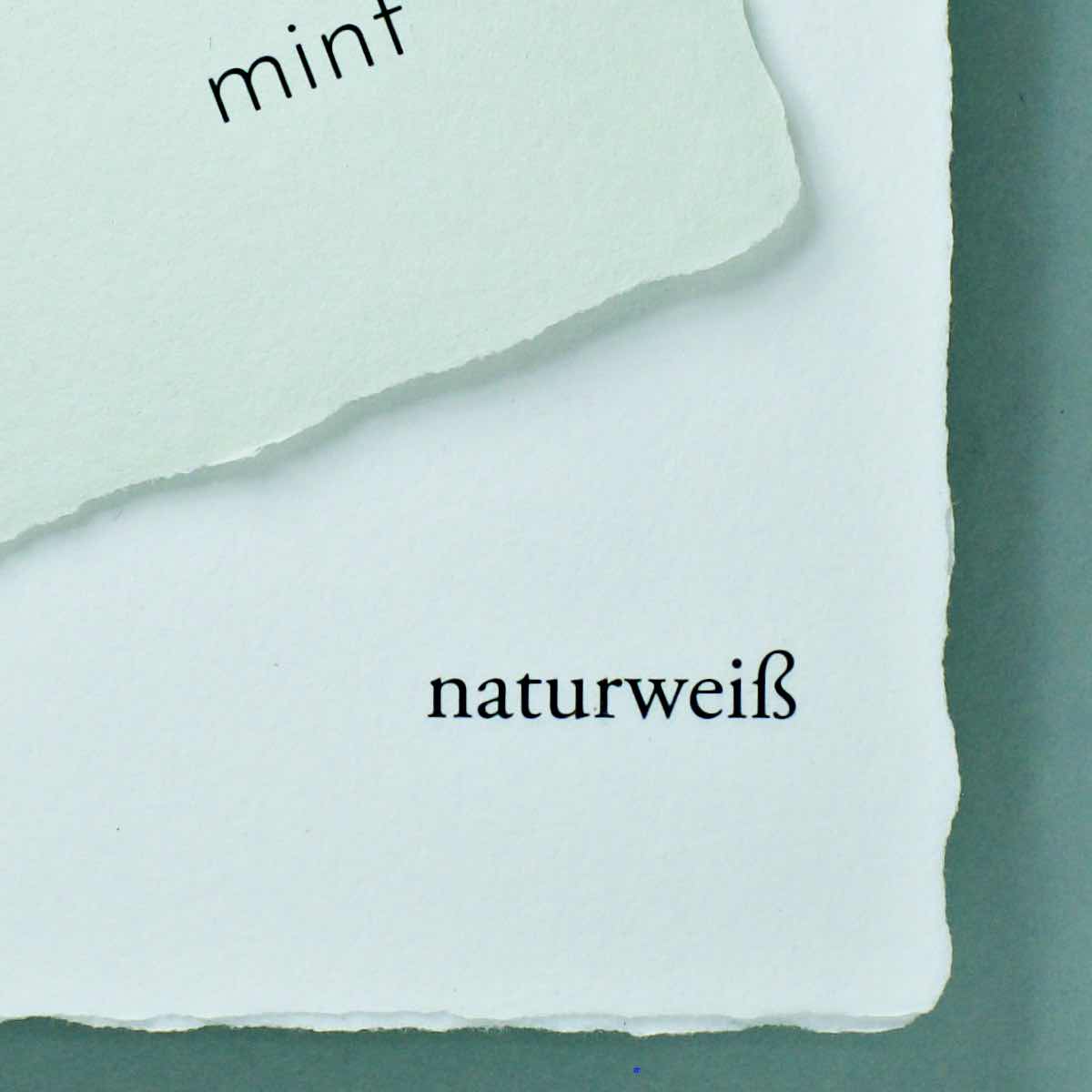 Detail handgeschöpftes Büttenpapier Farbvergleich mint auf naturweiß