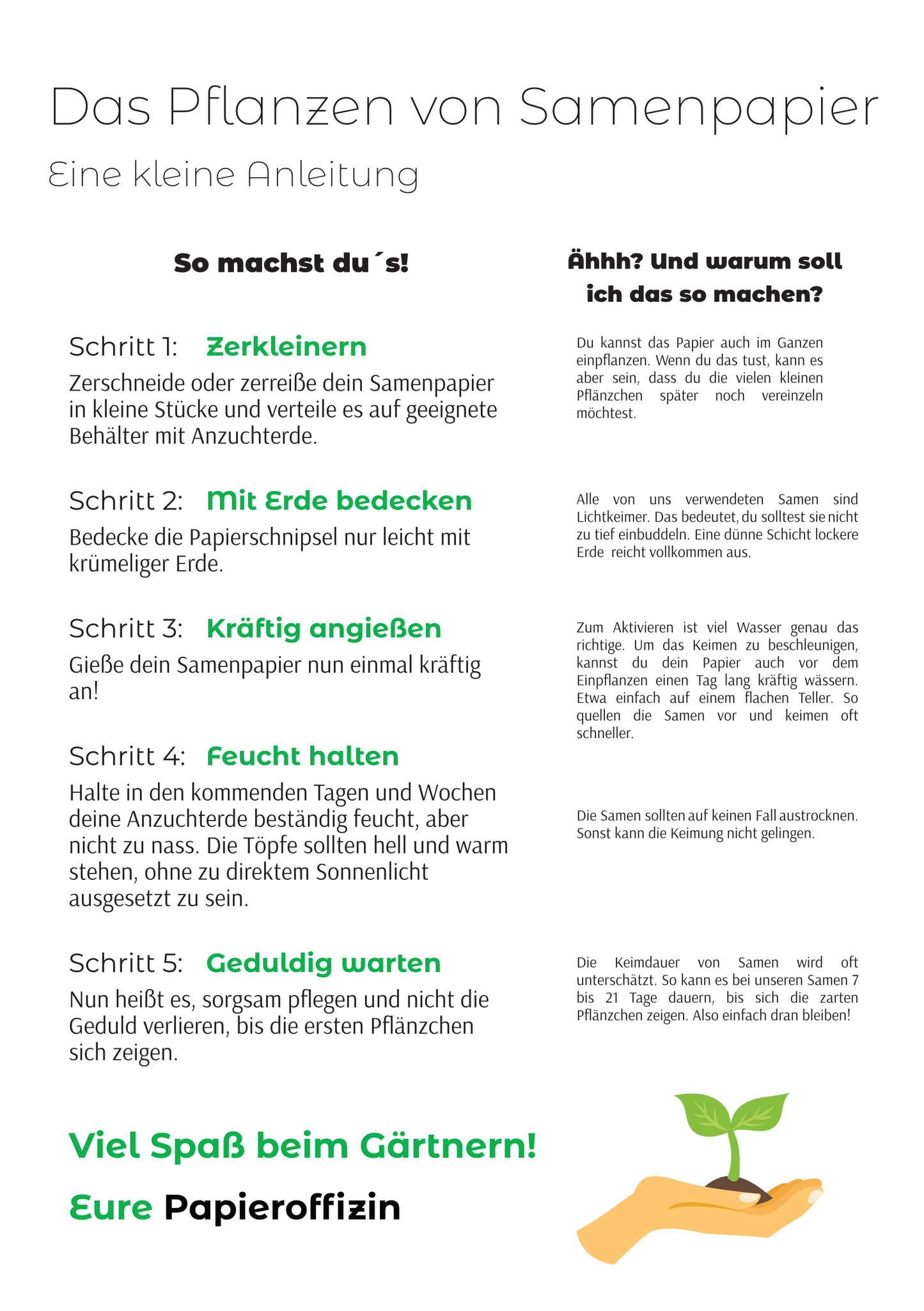 kurze, leicht verständliche Anleitung für das Einpflanzen von Samenpapier
