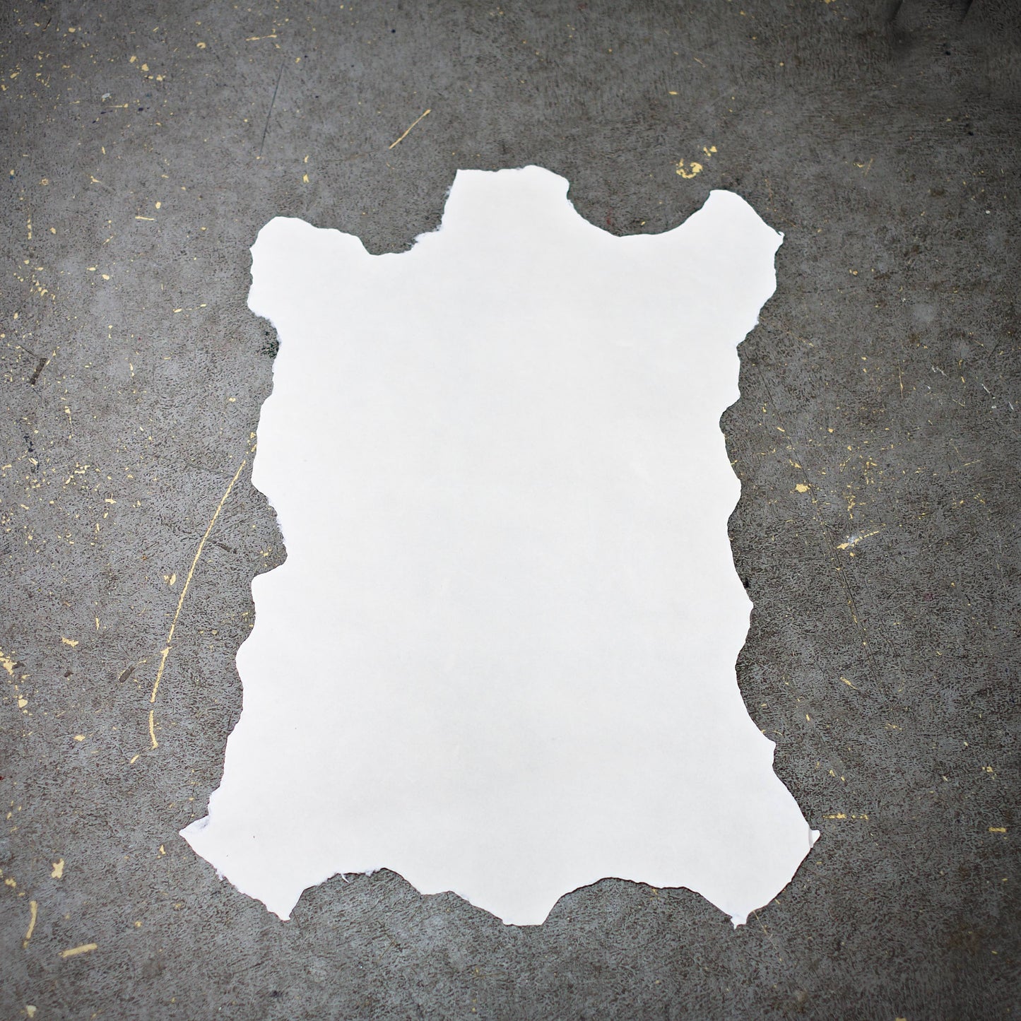 Papierpergament / Pergamentpapier