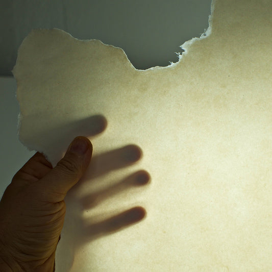 Papierpergament / Pergamentpapier