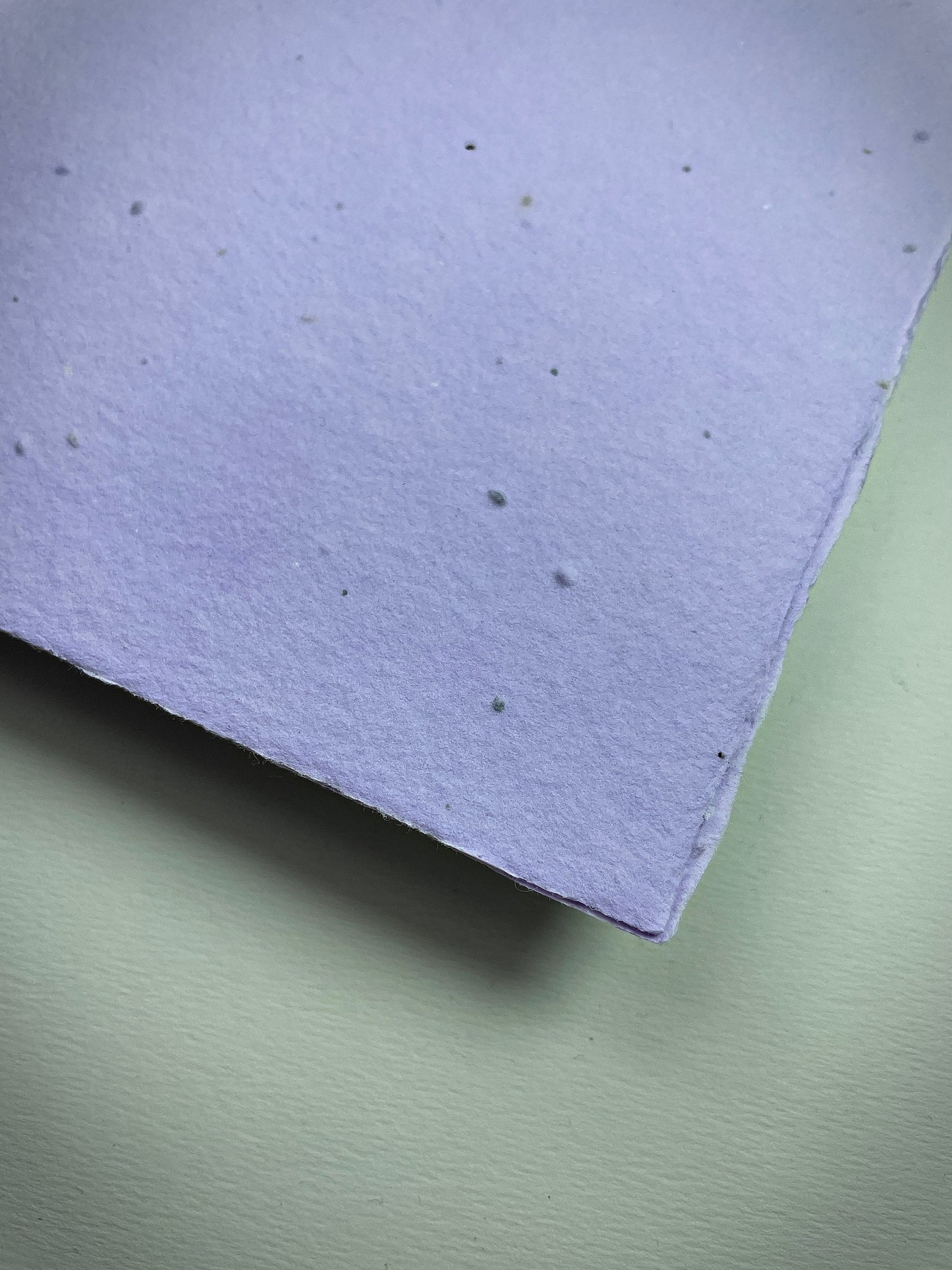 Detail eines handgeschöpften Büttenpapiers mit eingeschöpften Samen im Farbton flieder