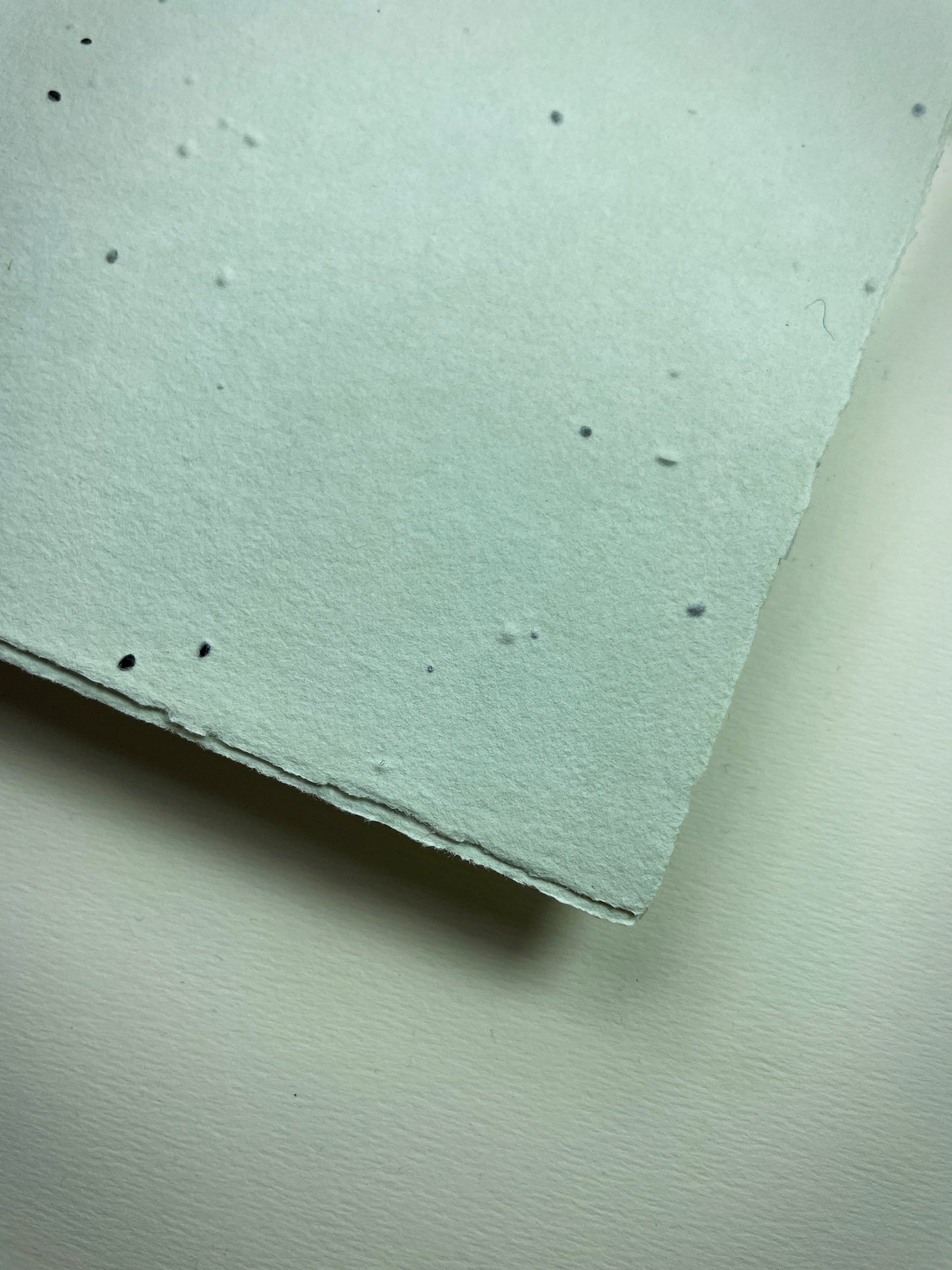 Detail eines handgeschöpften Büttenpapiers mit eingeschöpften Samen im Farbton mint