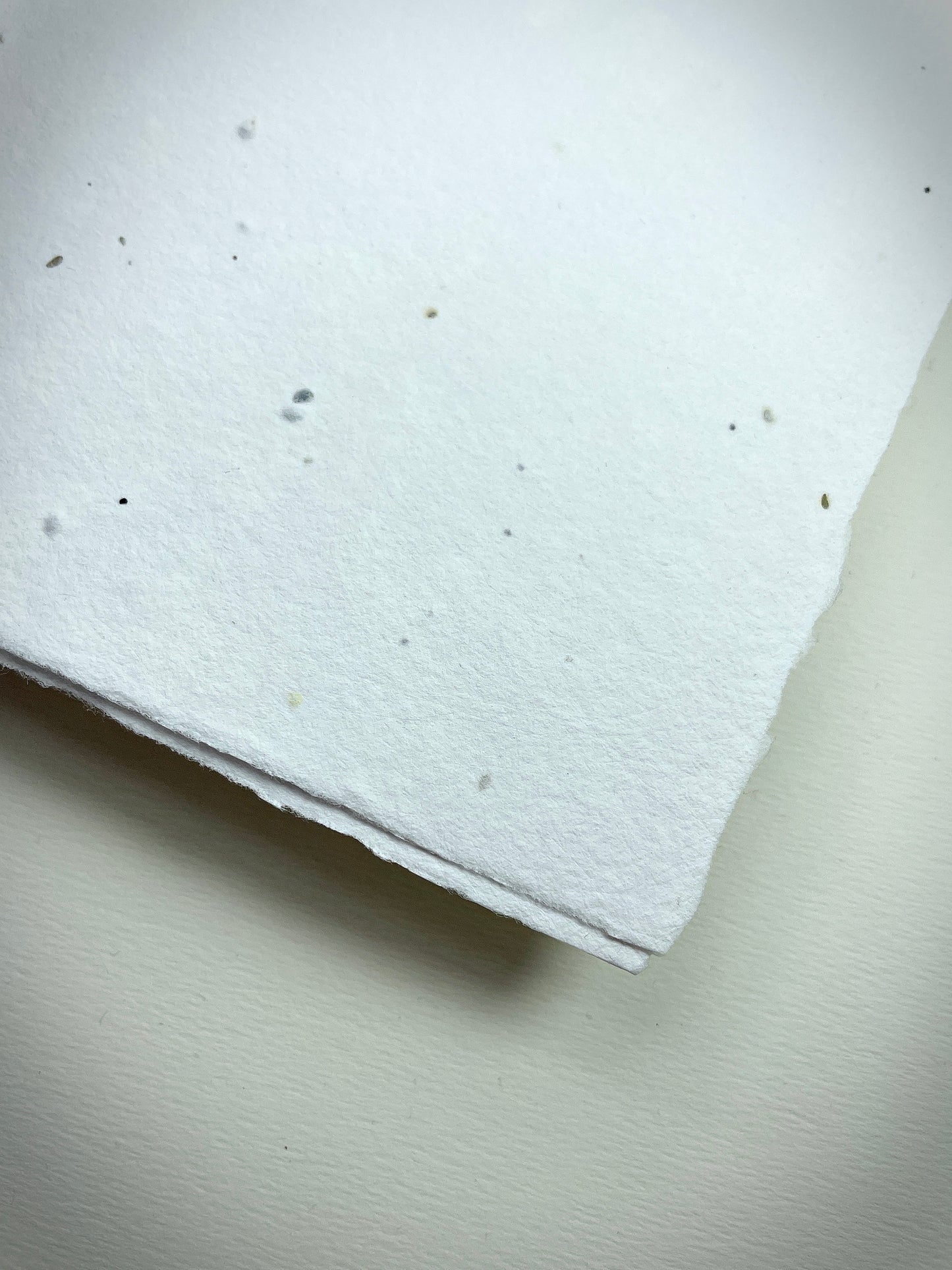 Detail eines handgeschöpften Büttenpapiers mit eingeschöpften Samen im Farbton naturweiß