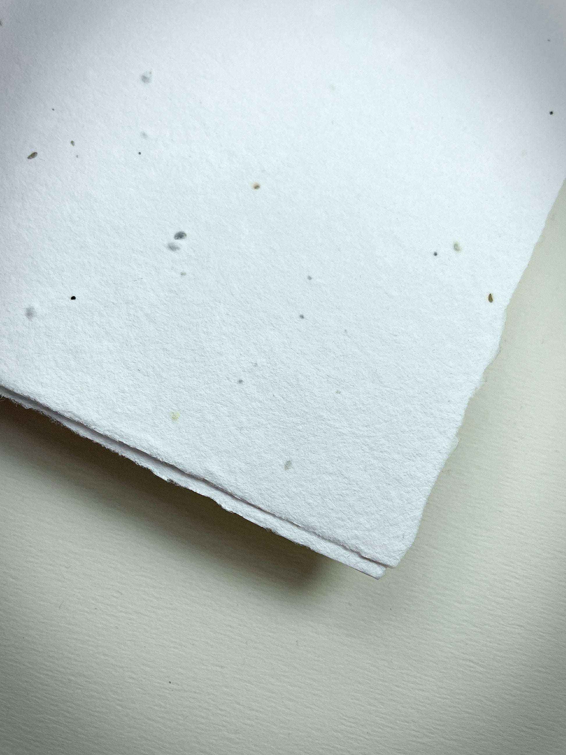 Detail eines handgeschöpften Büttenpapiers mit eingeschöpften Samen im Farbton naturweiß