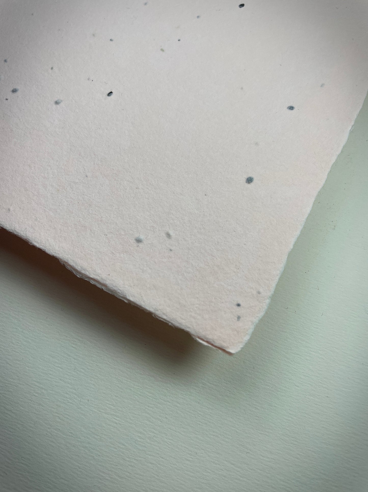 handgeschöpftes Büttenpapier mit eingeschöpften Samen im Farbton rosé