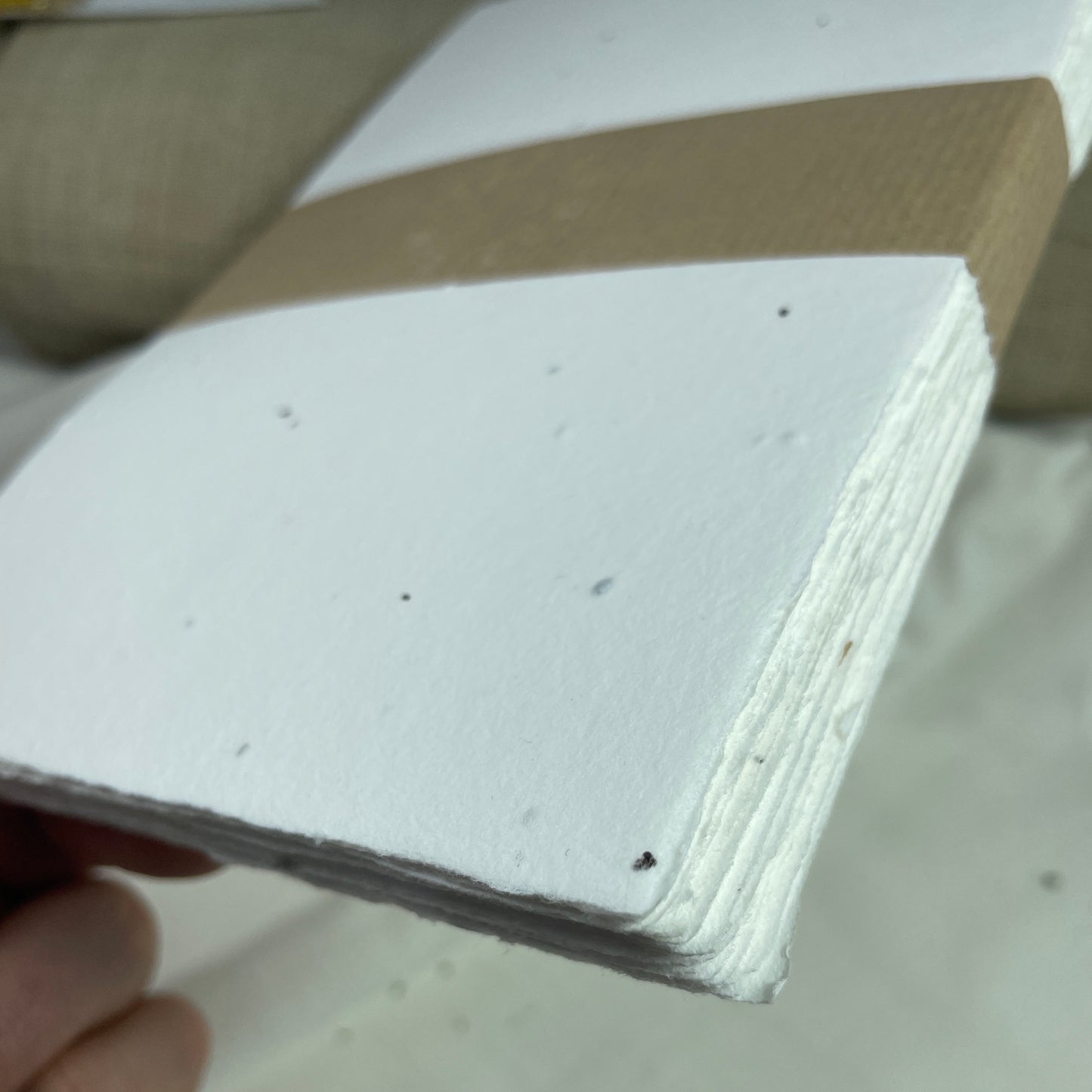 Samenpapier / Saatgutpapier / Saatpapier weiß, handgeschöpft in Deutschland