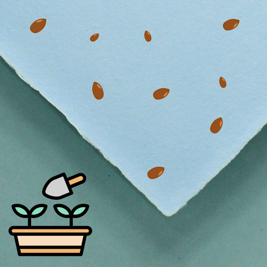 handgeschöpftes Büttenpapier / Samenpapier mit stilisierten Samen im Farbton babyblau
Vektoren von Vecteezy.com