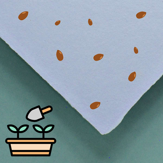 handgeschöpftes Büttenpapier / Samenpapier mit stilisierten Samen im Farbton flieder
Vektoren von Vecteezy.com
