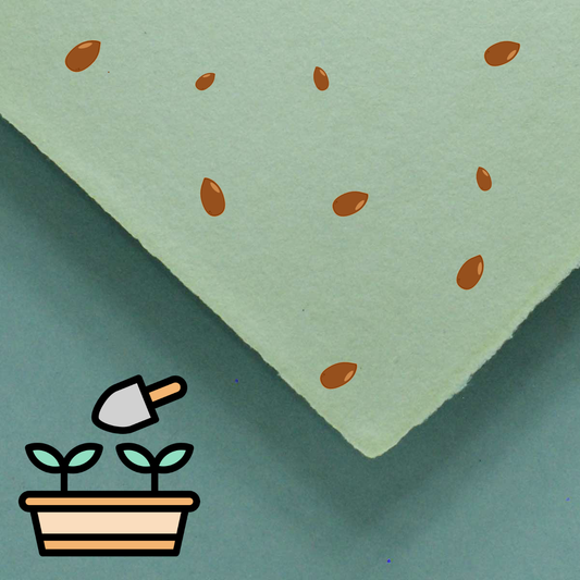 handgeschöpftes Büttenpapier / Samenpapier mit stilisierten Samen im Farbton matcha 
Vektoren von Vecteezy.com