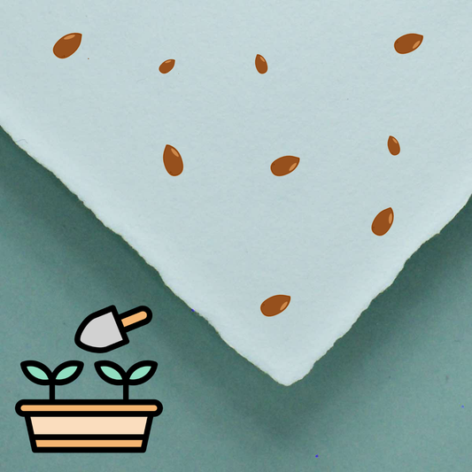 handgeschöpftes Büttenpapier / Samenpapier mit stilisierten Samen im Farbton naturweiß
Vektoren von Vecteezy.com